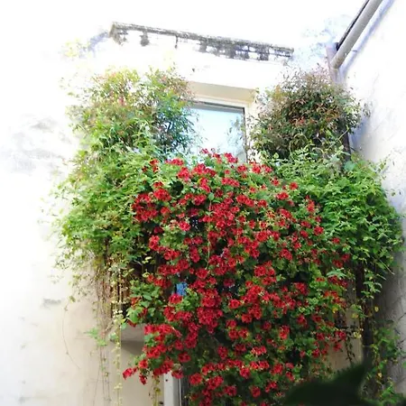 Апартаменты Flo House