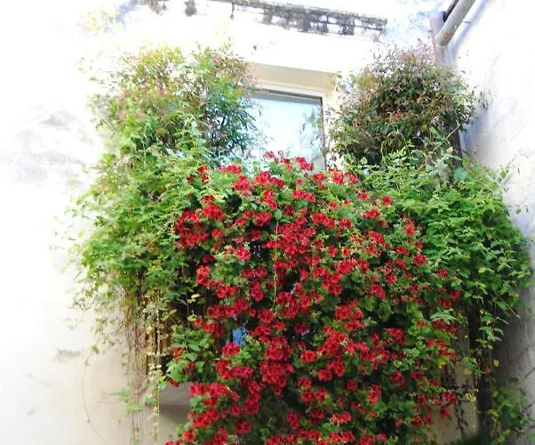 Apartament Flo House